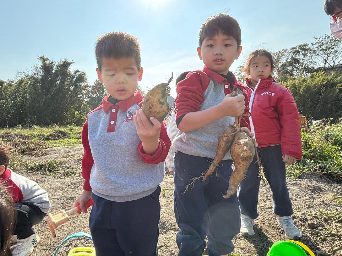 line_album_01.11田園採地瓜_240111_42 line_album_01.11田園採地瓜_240111_42
