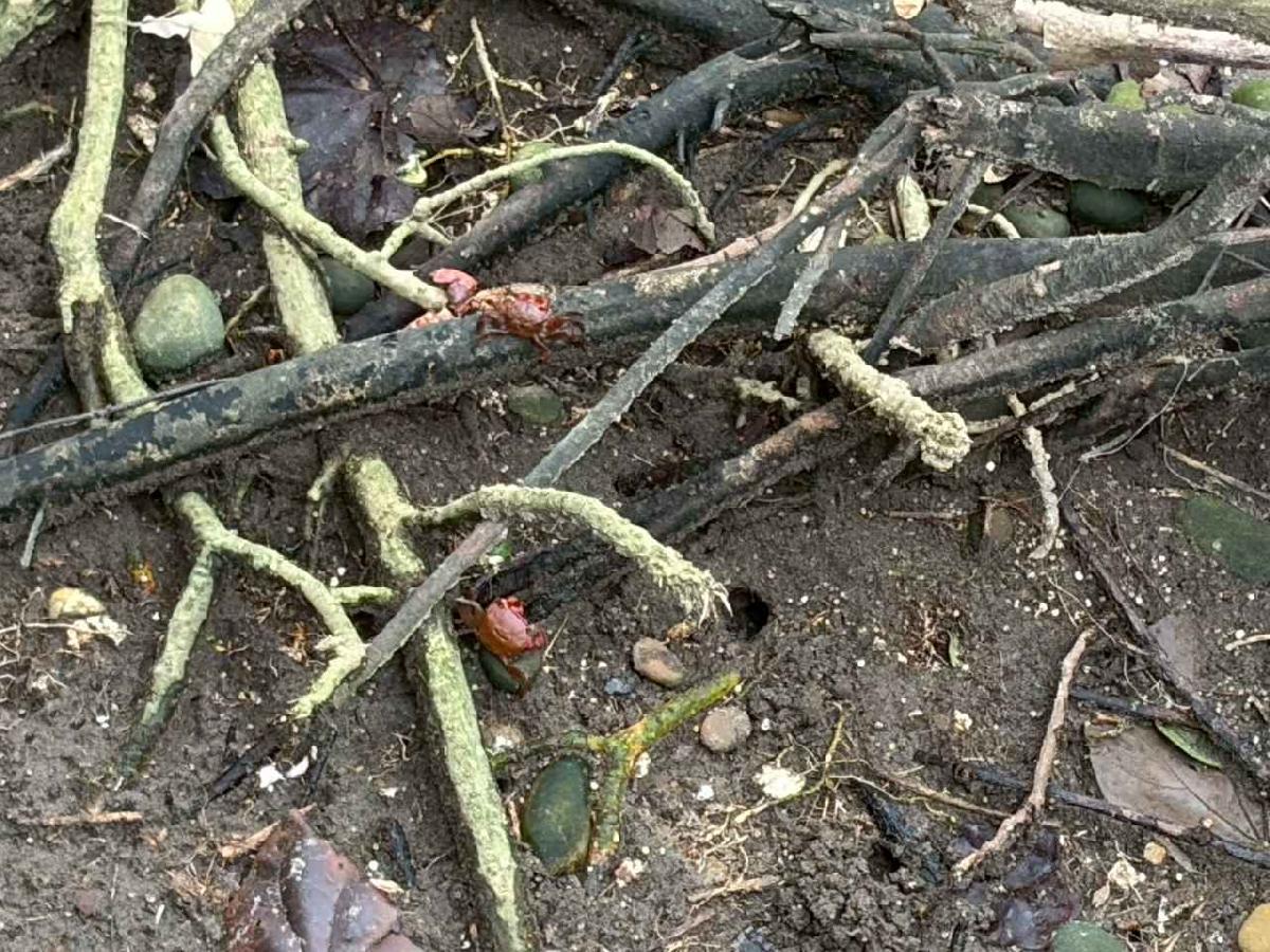 line_album_20251027_251027_134