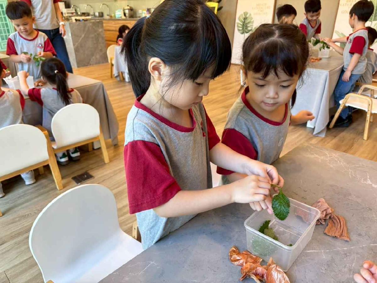 line_album_11.06戶外教學-生態園區_251107_6