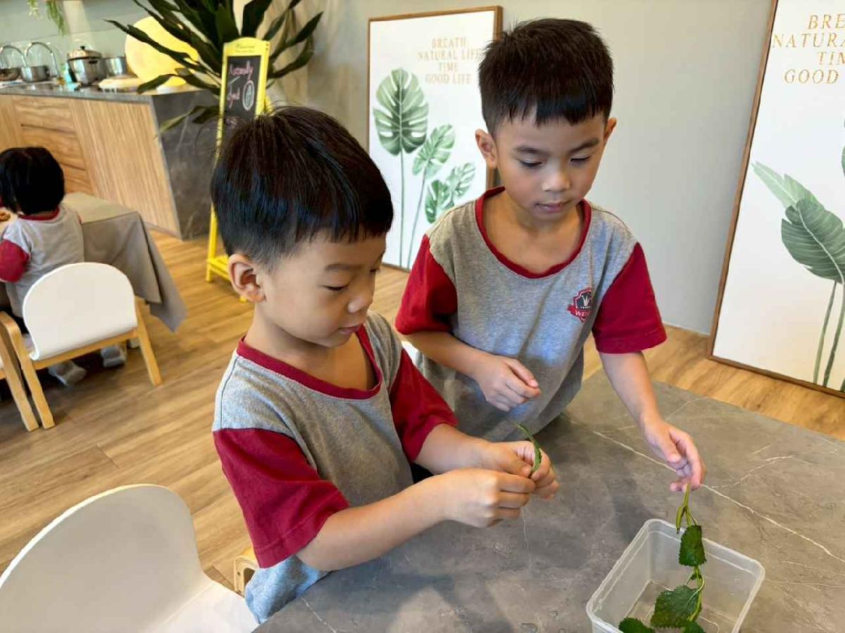 line_album_11.06戶外教學-生態園區_251107_9