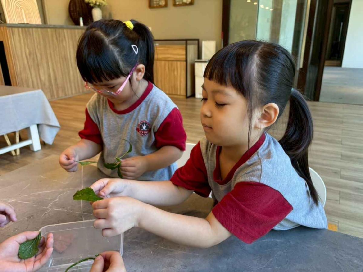 line_album_11.06戶外教學-生態園區_251107_7