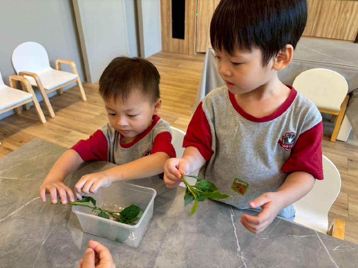 line_album_11.06戶外教學-生態園區_251107_10