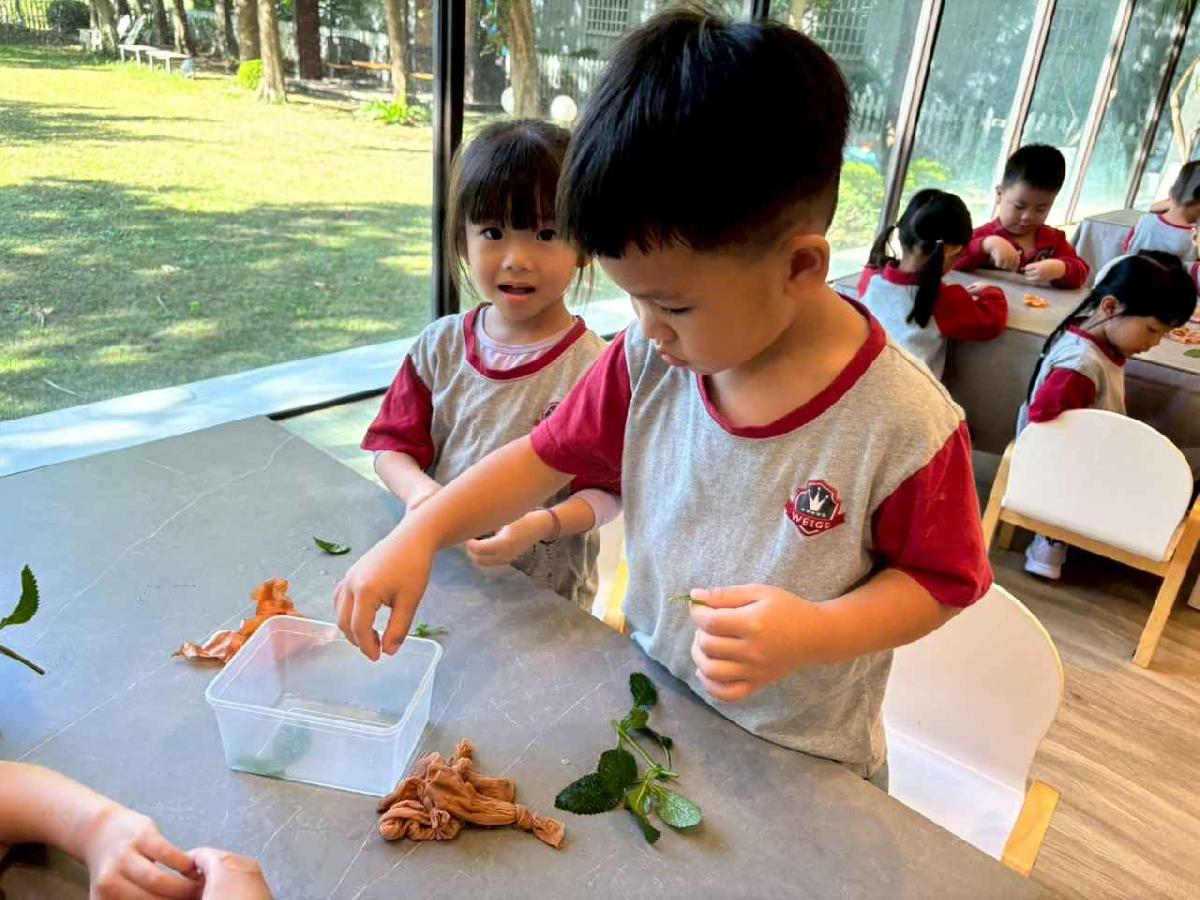 line_album_11.06戶外教學-生態園區_251107_11