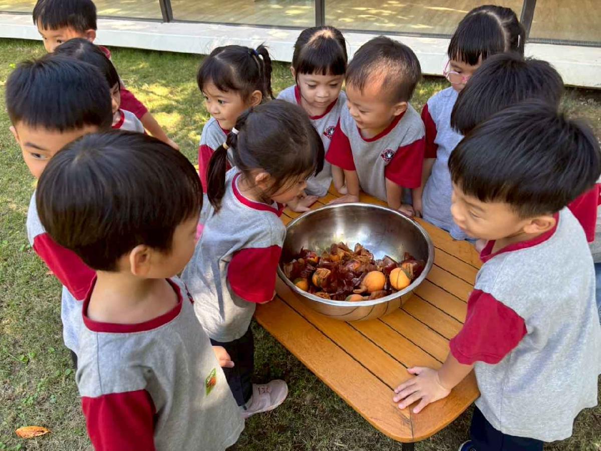 line_album_11.06戶外教學-生態園區_251107_124