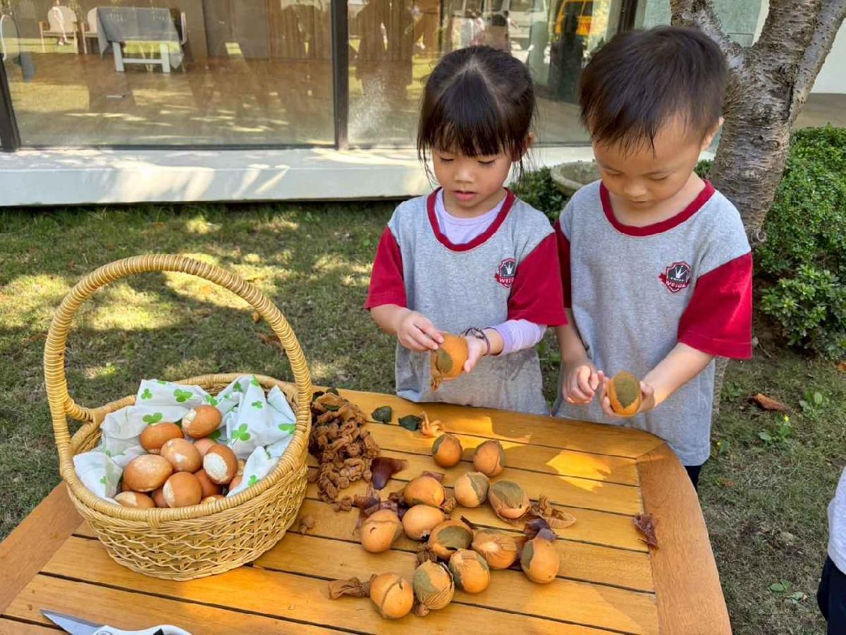 line_album_11.06戶外教學-生態園區_251107_186