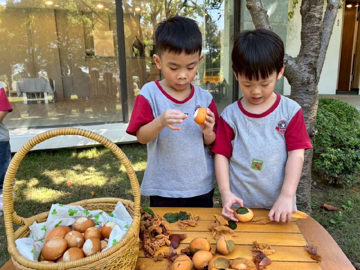 line_album_11.06戶外教學-生態園區_251107_198