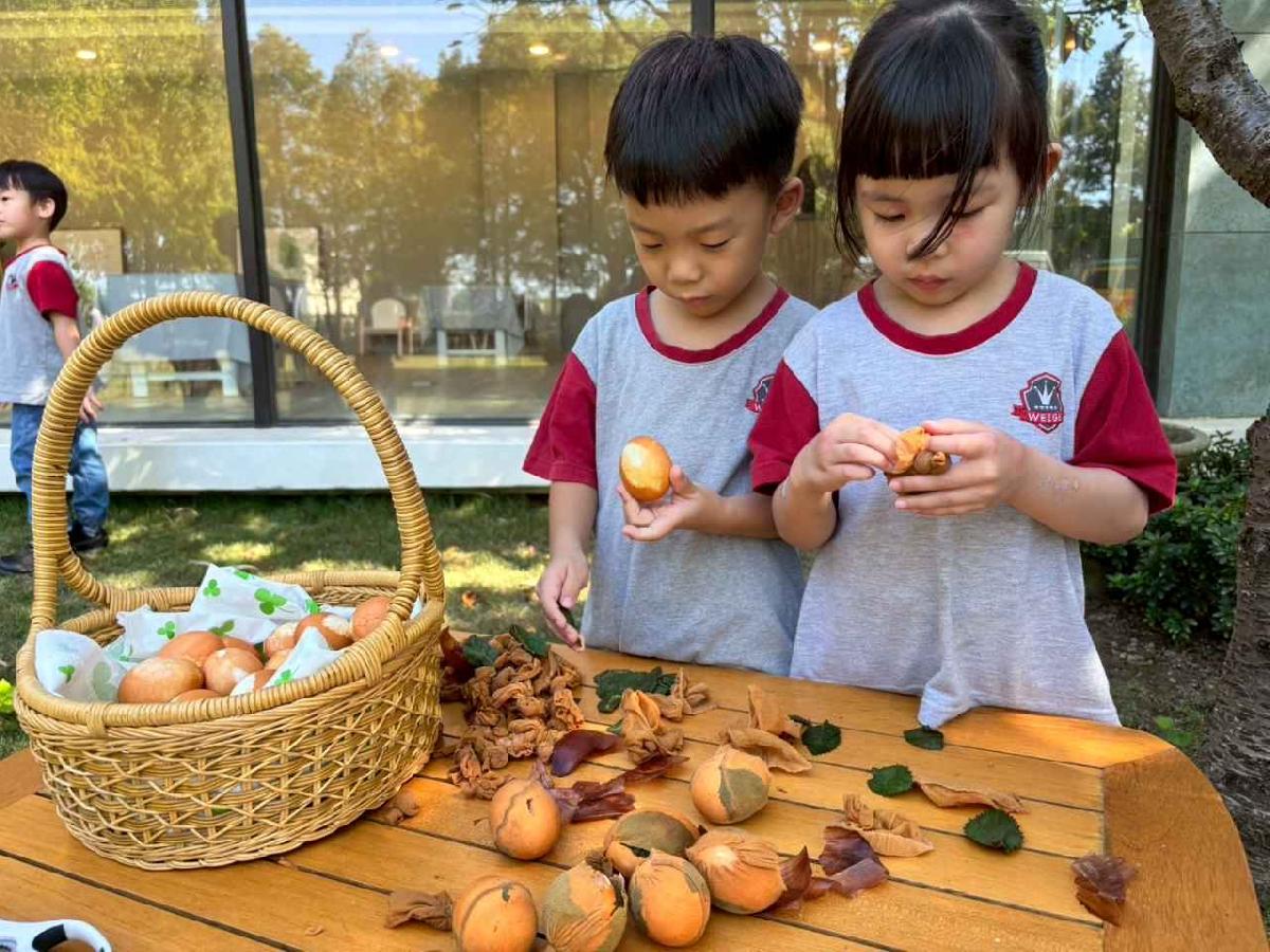 line_album_11.06戶外教學-生態園區_251107_204