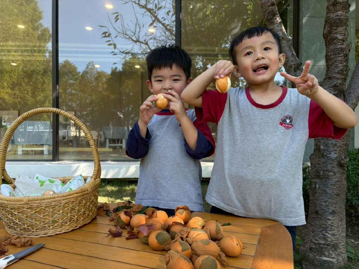 line_album_2025117_251107_4