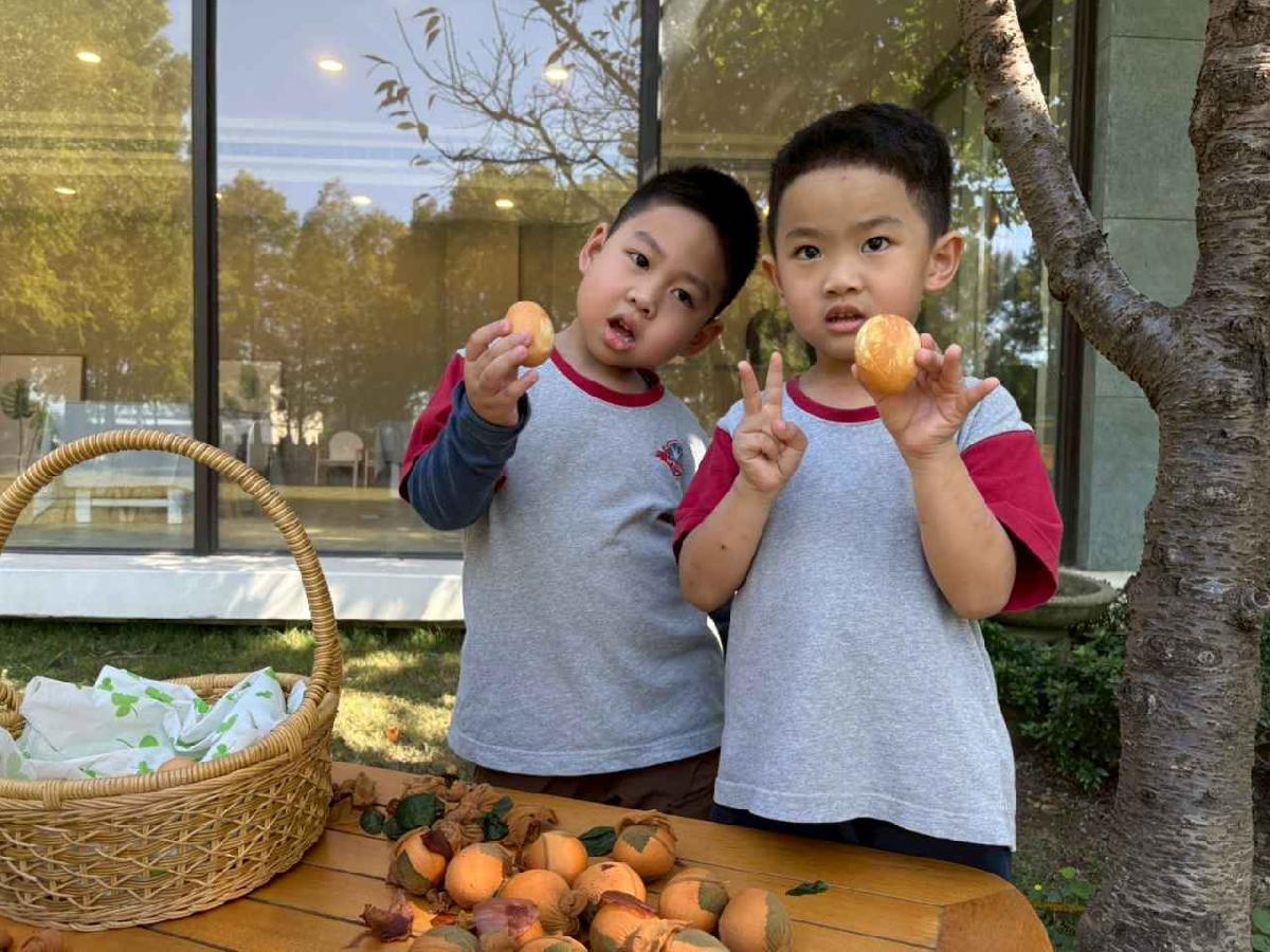 line_album_2025117_251107_6