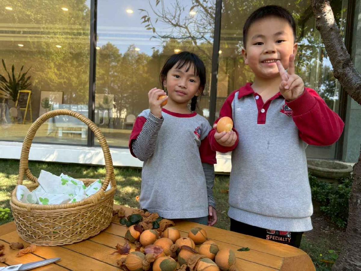 line_album_2025117_251107_8