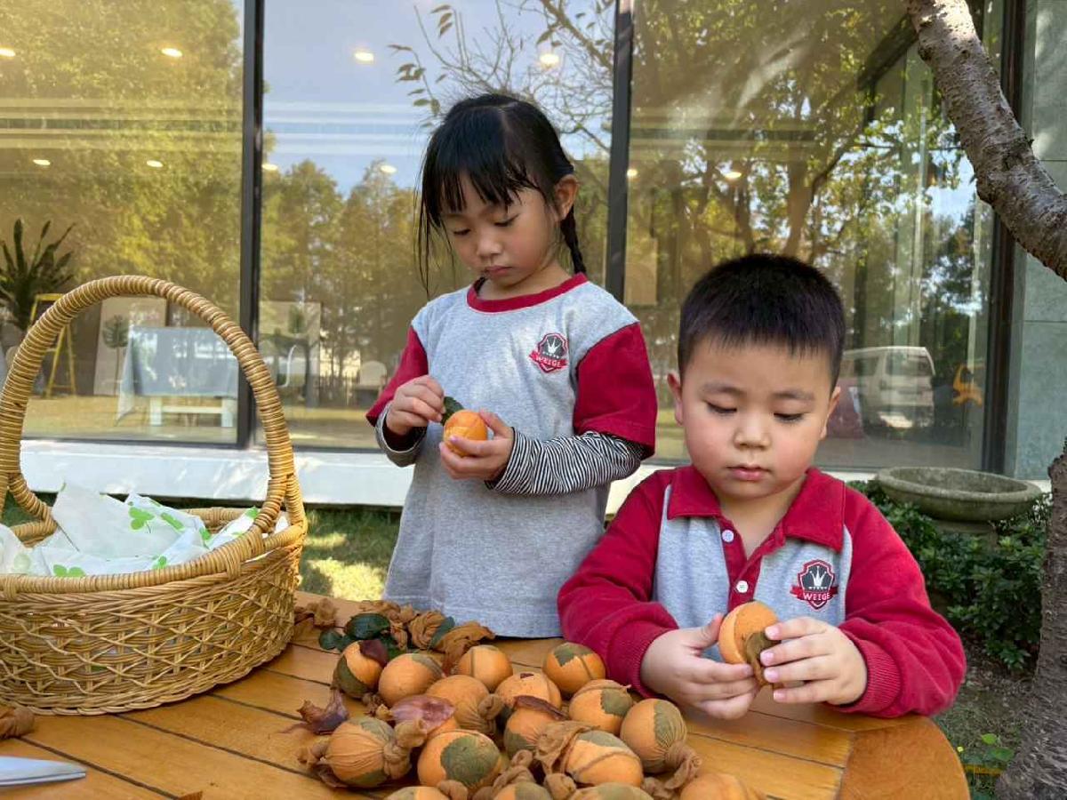 line_album_2025117_251107_9