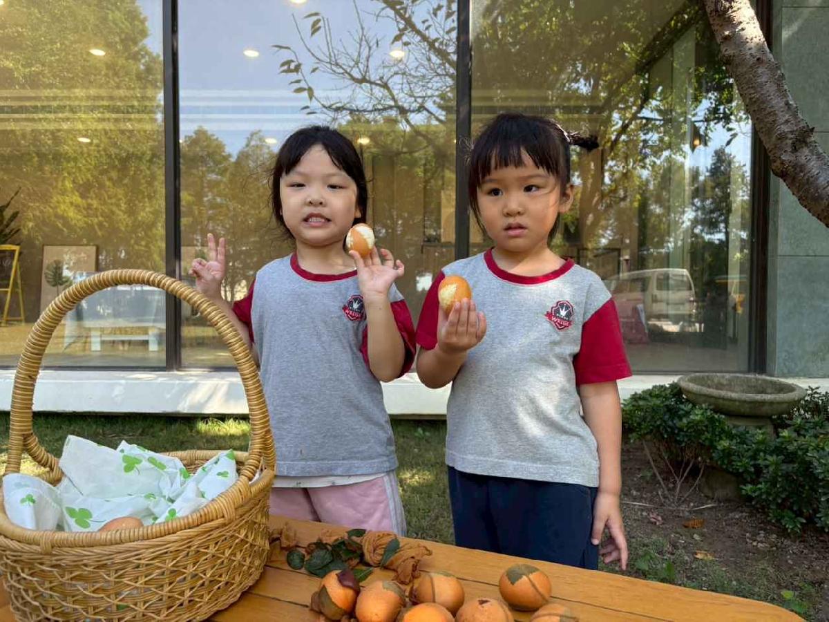 line_album_2025117_251107_10