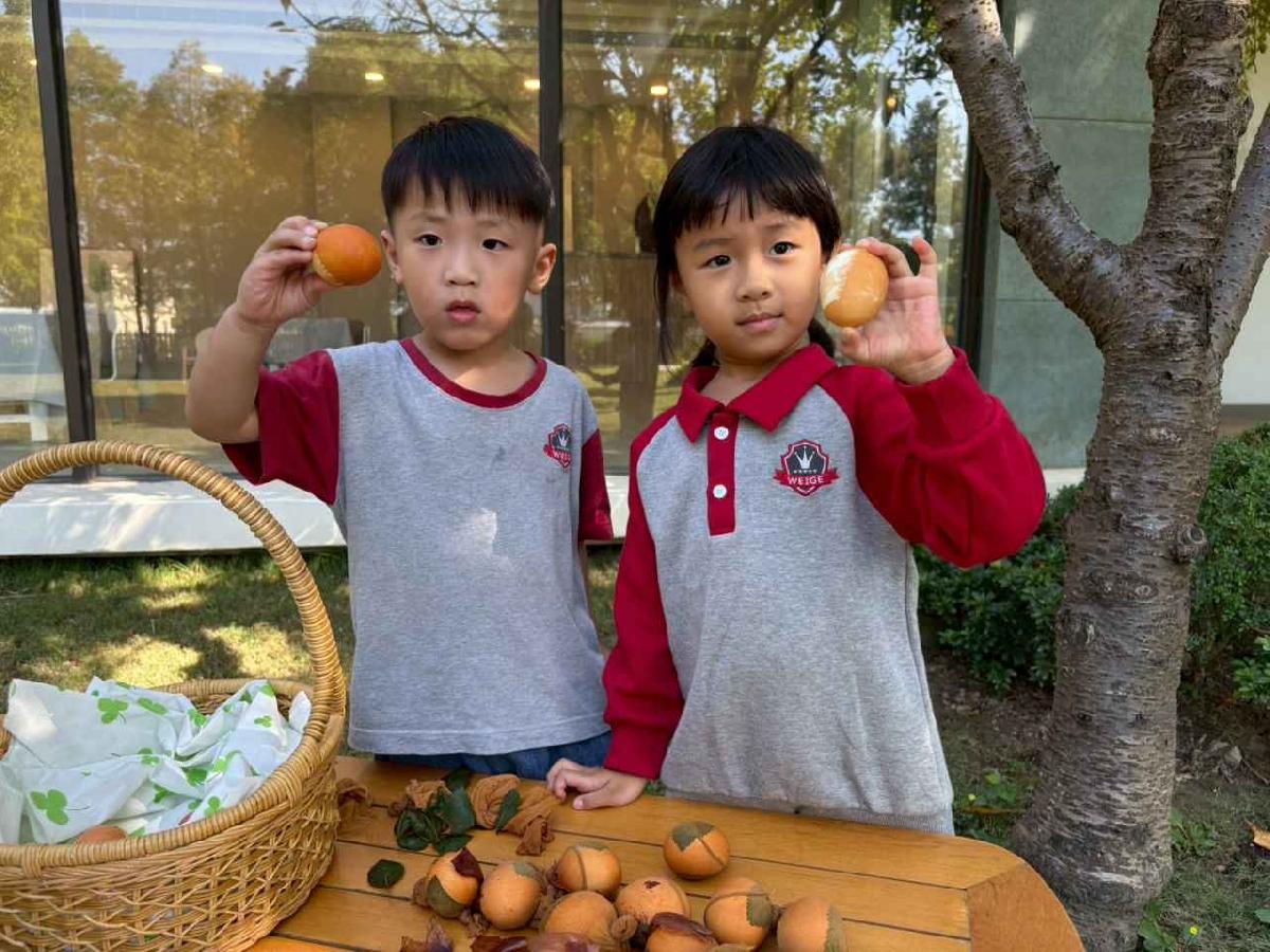 line_album_2025117_251107_12