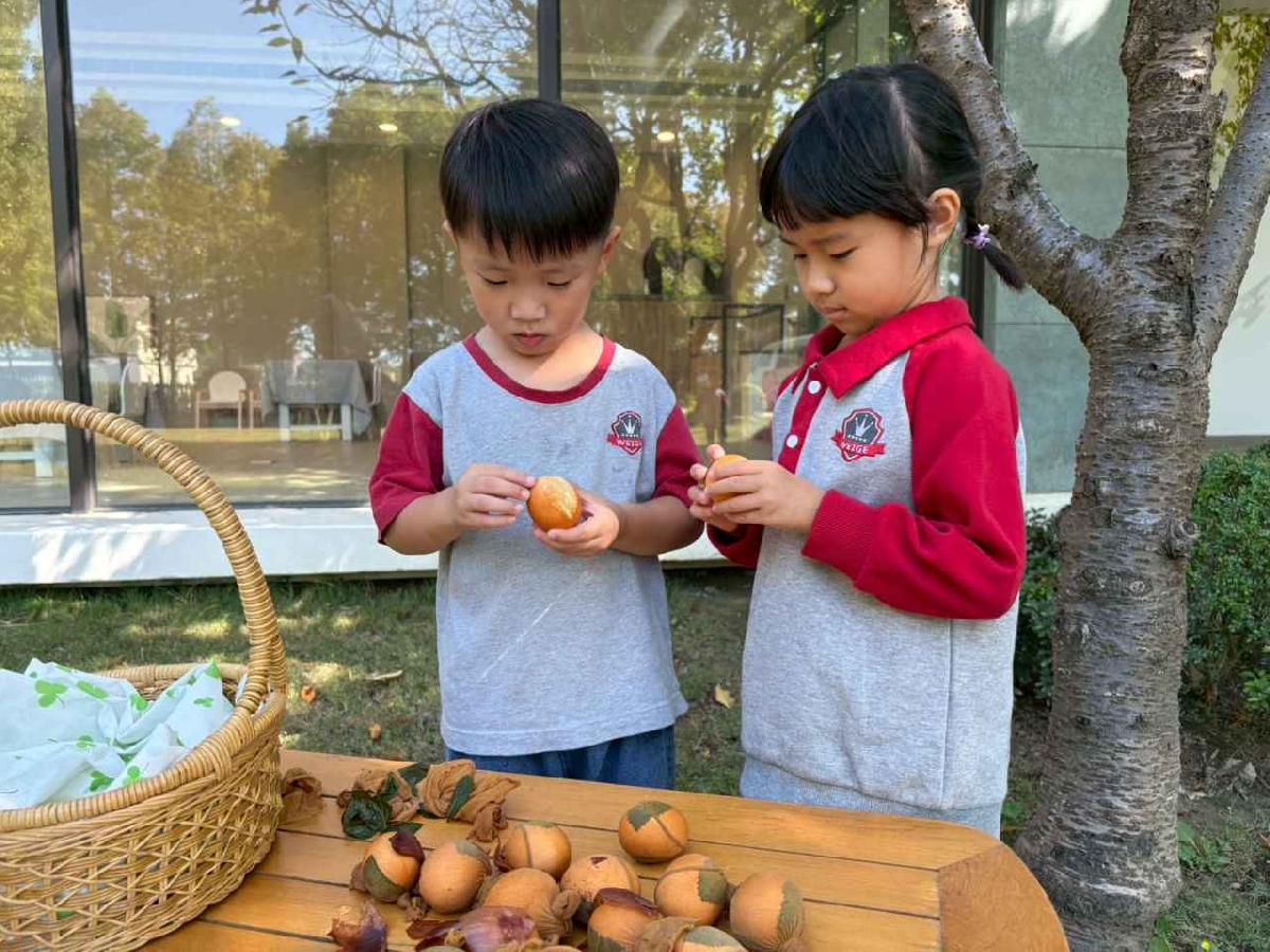 line_album_2025117_251107_13