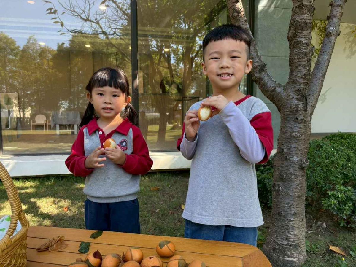 line_album_2025117_251107_15