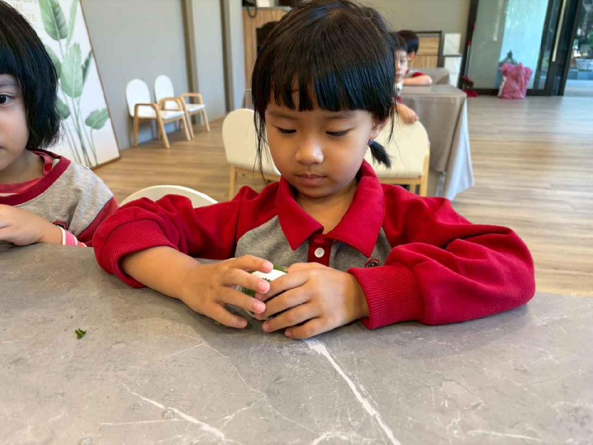 line_album_2025117_251107_52