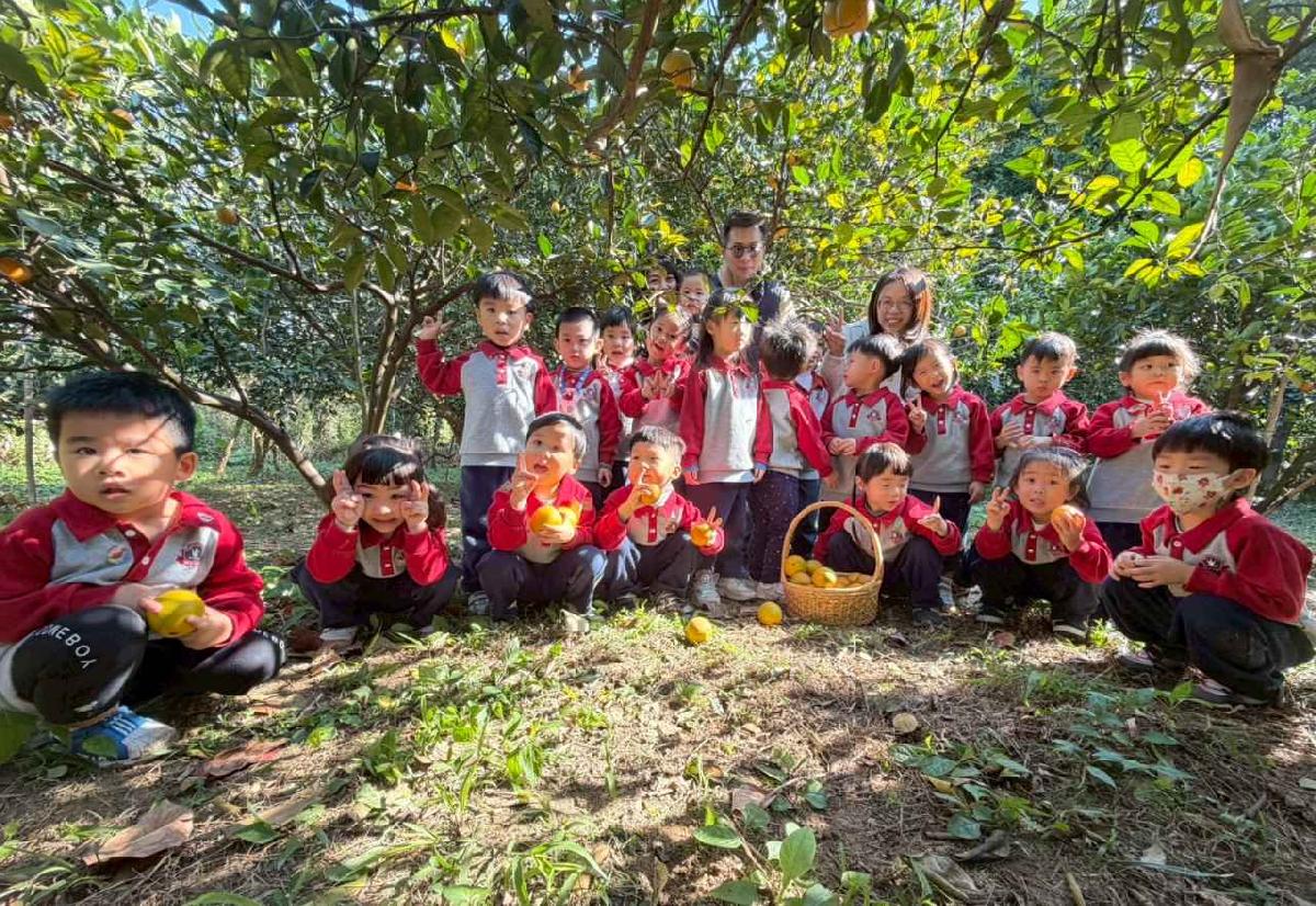 line_album_1150115採柳丁的樂趣_260115_3