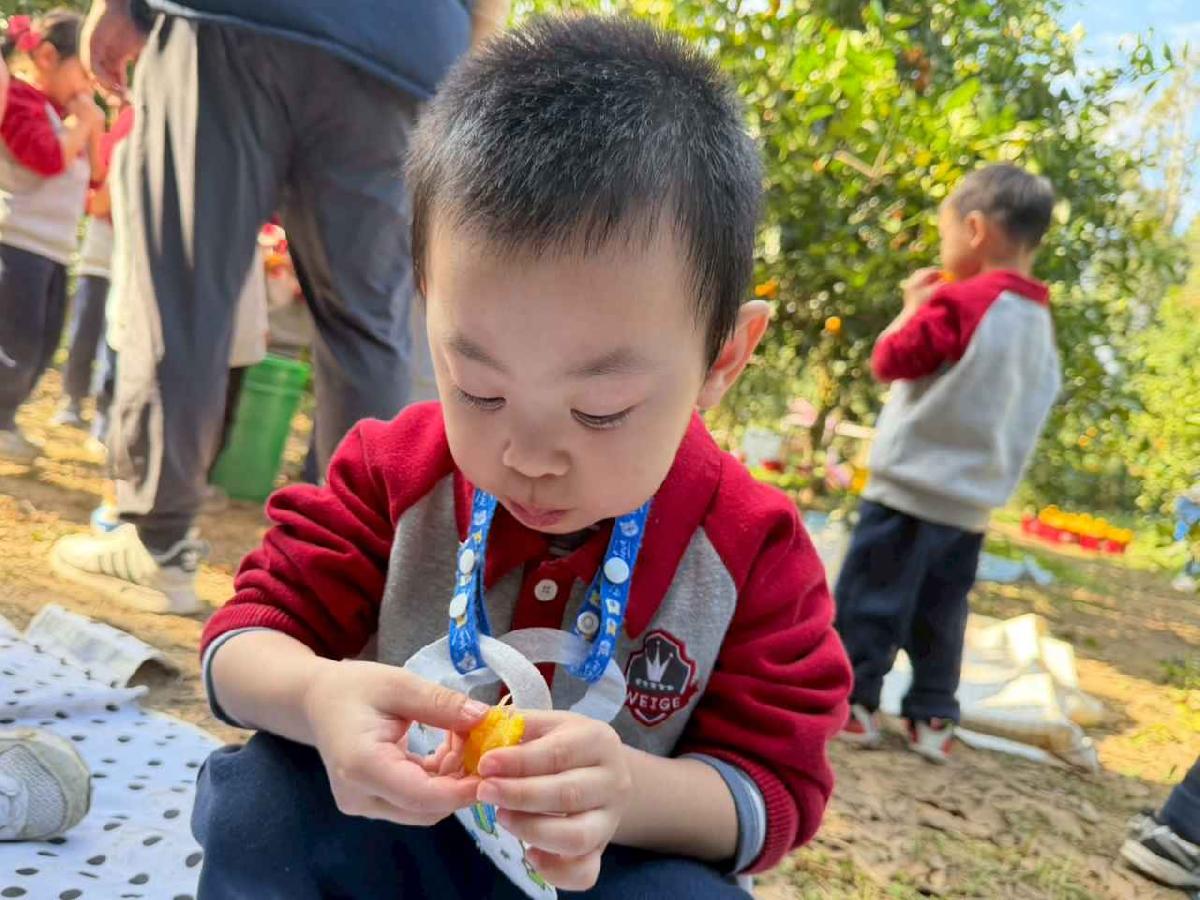 line_album_1150115採柳丁的樂趣_260115_9