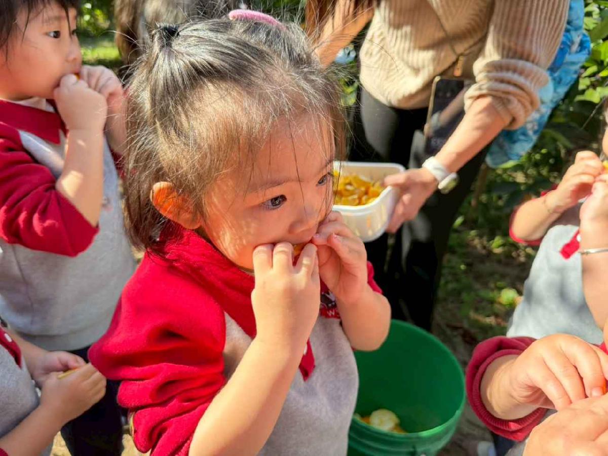 line_album_1150115採柳丁的樂趣_260115_11