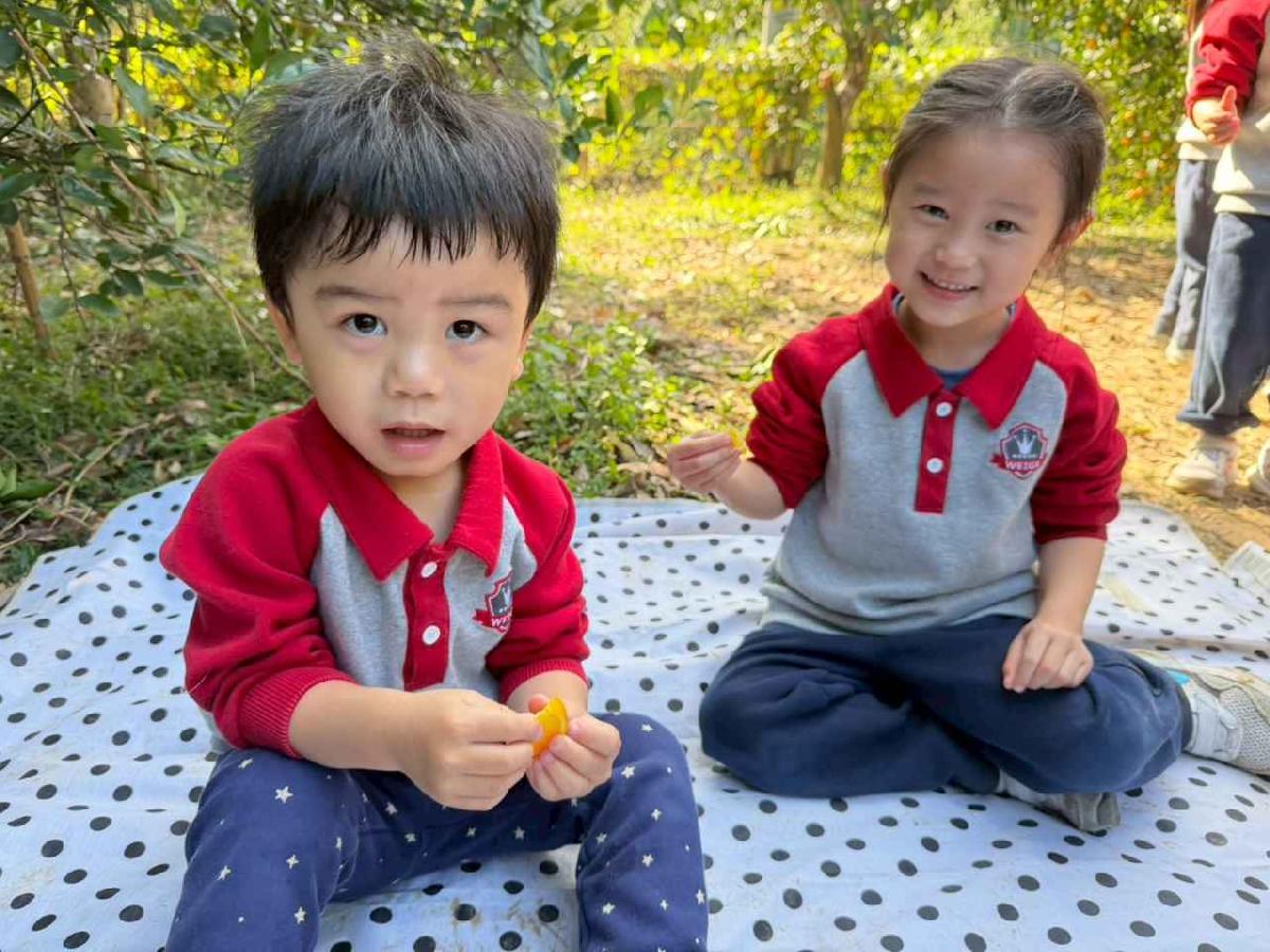 line_album_1150115採柳丁的樂趣_260115_13