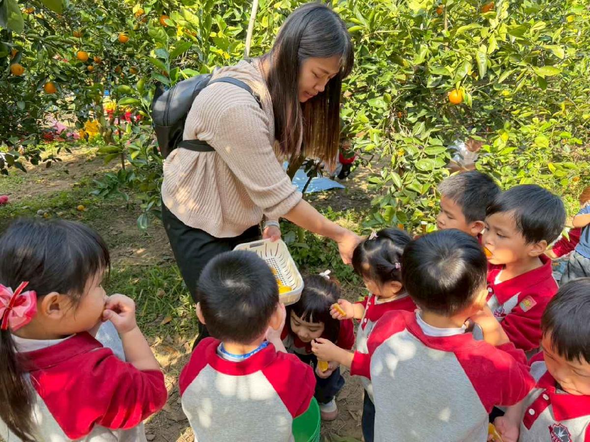 line_album_1150115採柳丁的樂趣_260115_17