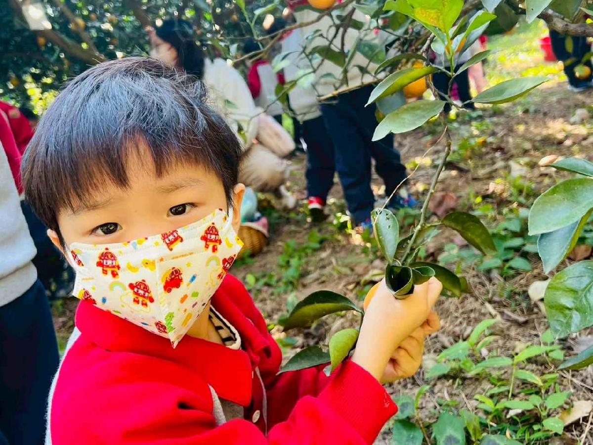 line_album_1150115採柳丁的樂趣_260115_25