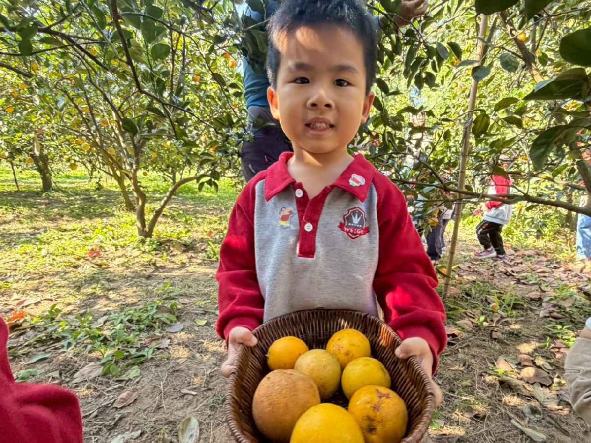 line_album_1150115採柳丁的樂趣_260115_28