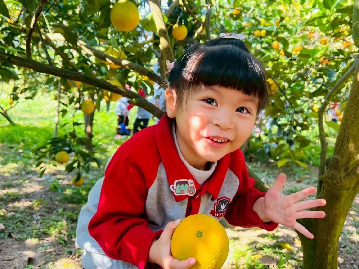 line_album_1150115採柳丁的樂趣_260115_42