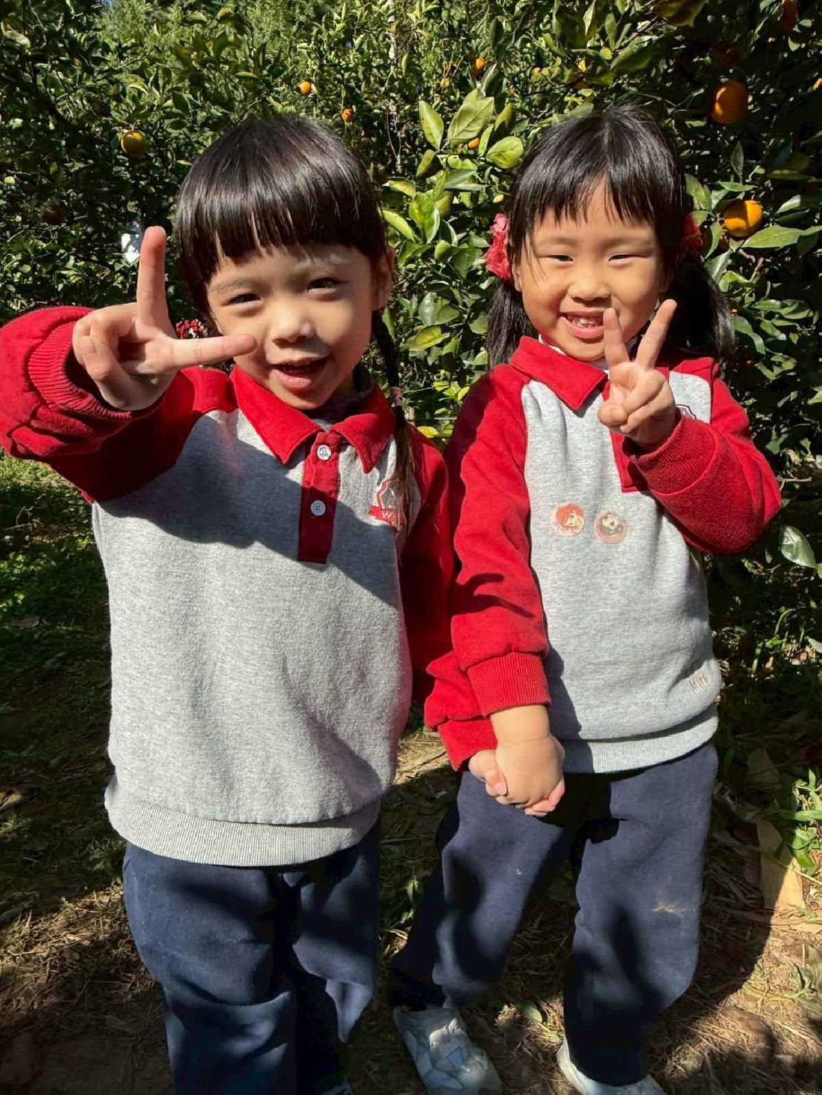 line_album_1150115採柳丁的樂趣_260115_50