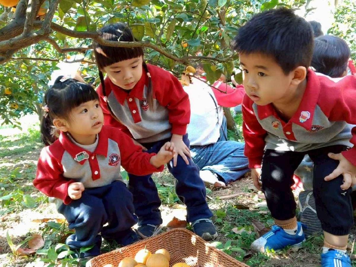 line_album_1150115採柳丁的樂趣_260115_53