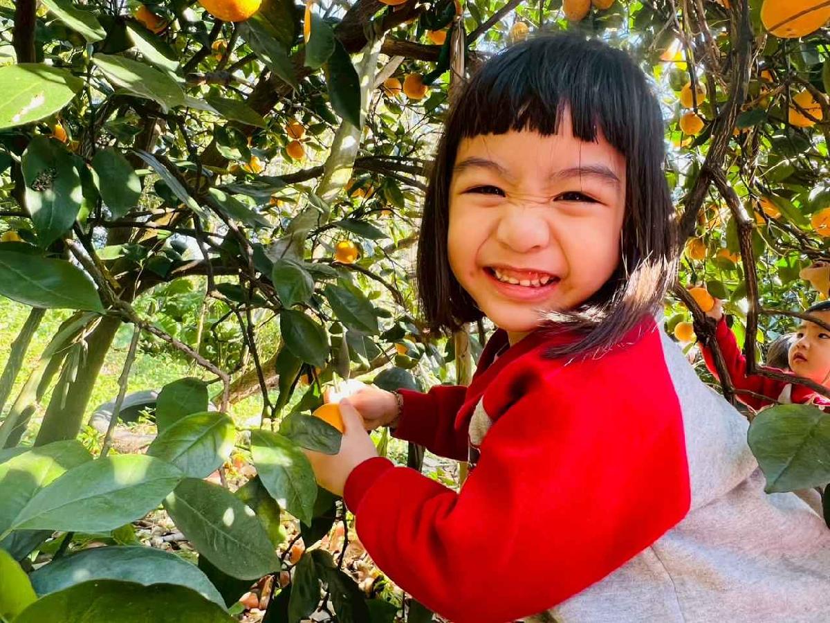 line_album_1150115採柳丁的樂趣_260115_58