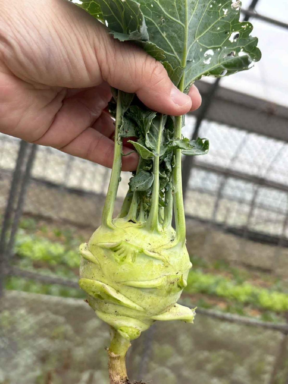 line_album_1.30大班頤禾園_260130_74