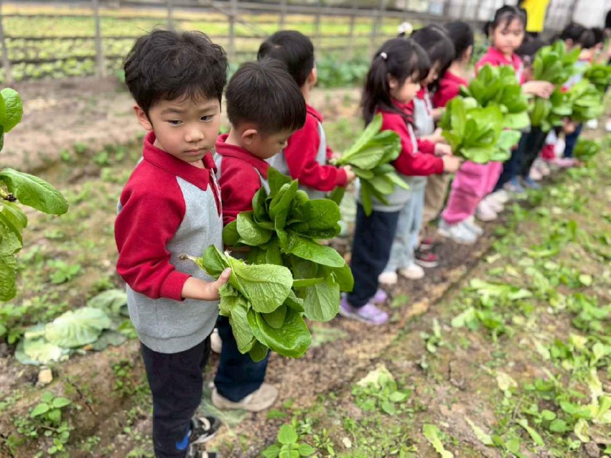 line_album_1.30大班頤禾園_260130_92