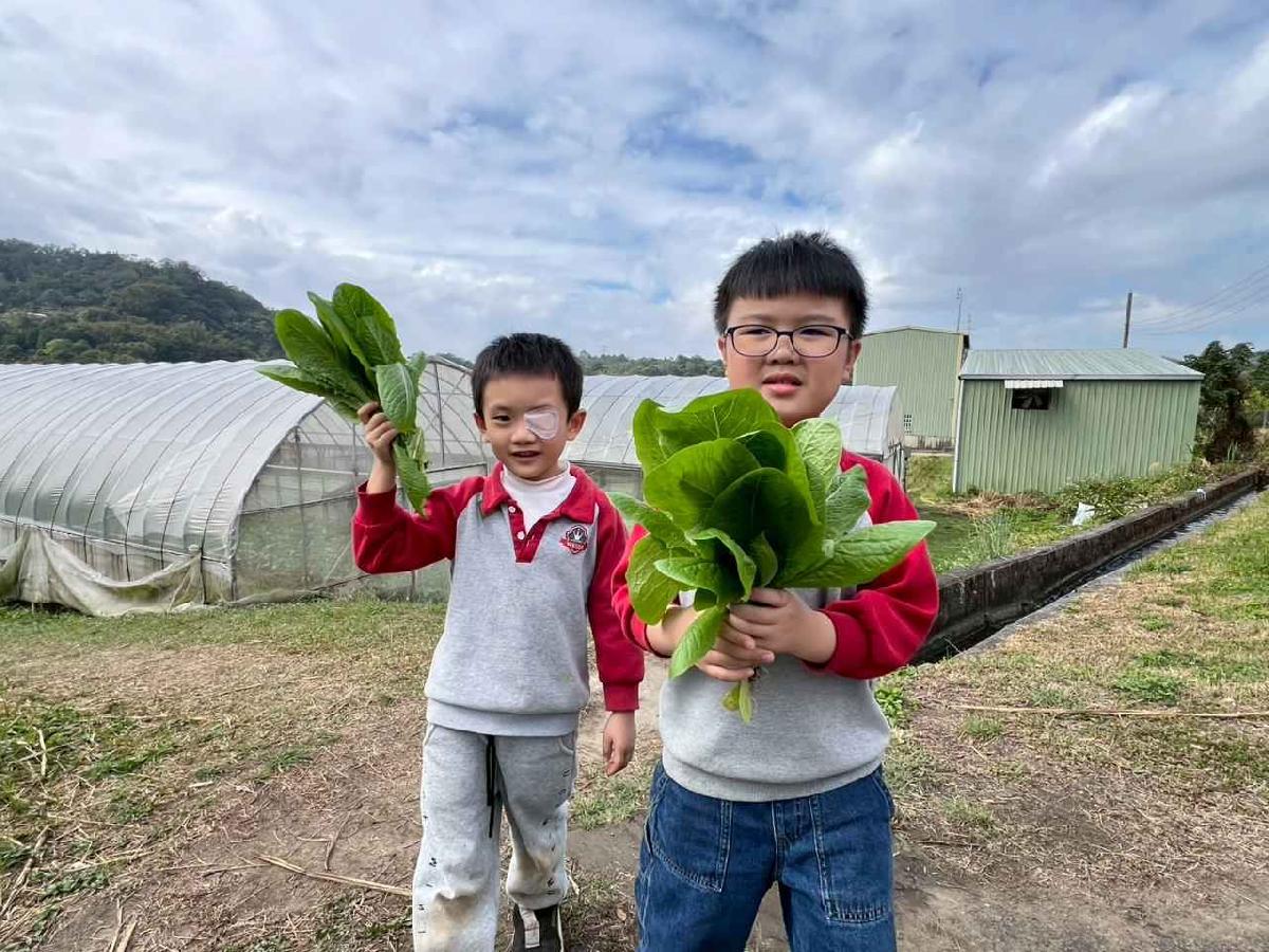 line_album_115.01.30餵雞拔菜_260130_1