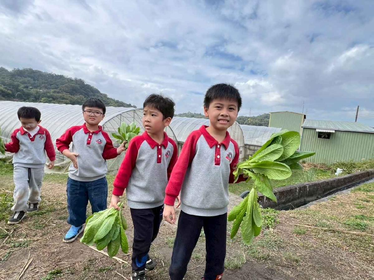 line_album_115.01.30餵雞拔菜_260130_3