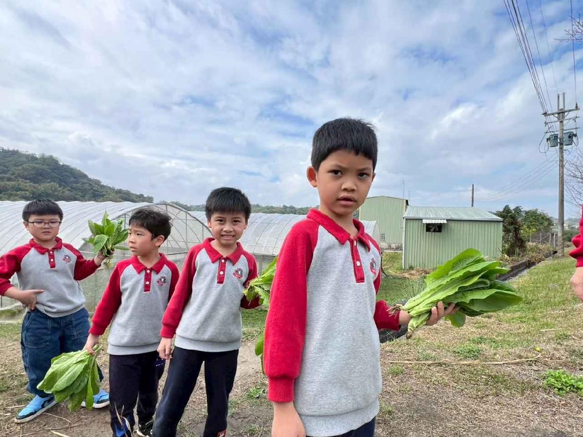 line_album_115.01.30餵雞拔菜_260130_4