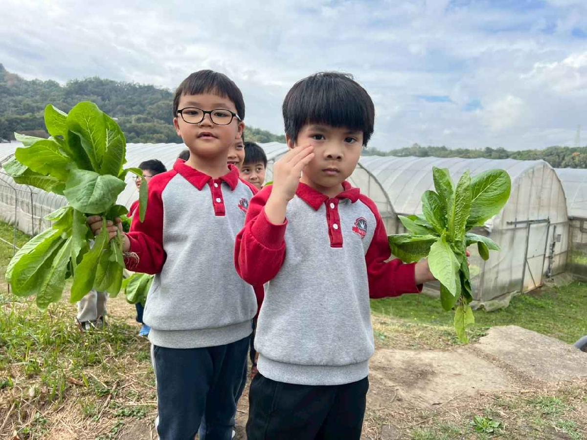 line_album_115.01.30餵雞拔菜_260130_5