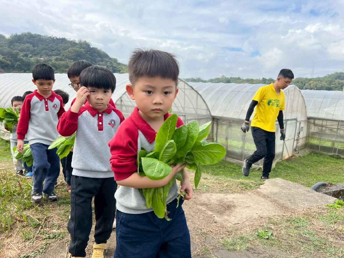 line_album_115.01.30餵雞拔菜_260130_6