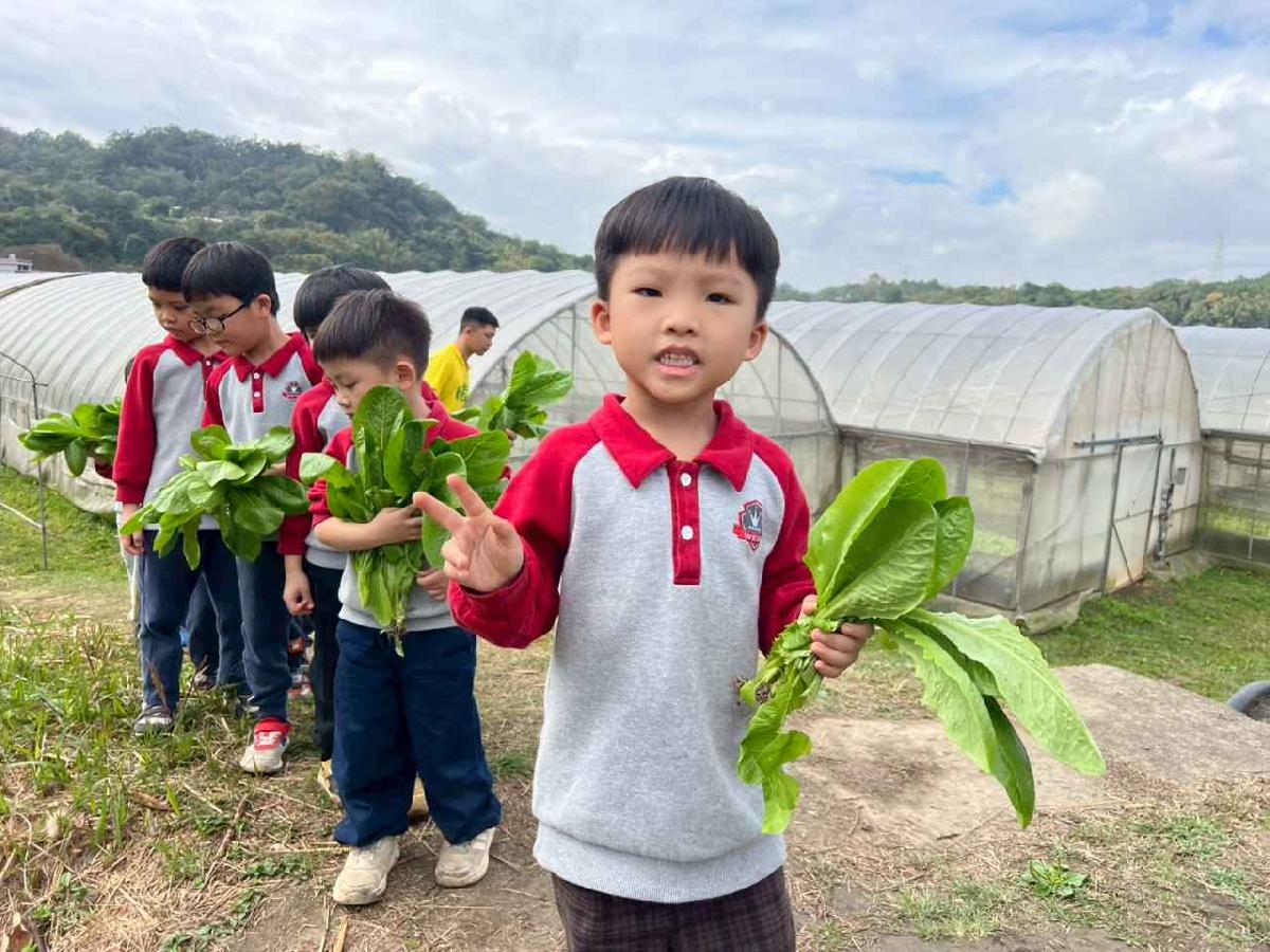 line_album_115.01.30餵雞拔菜_260130_7