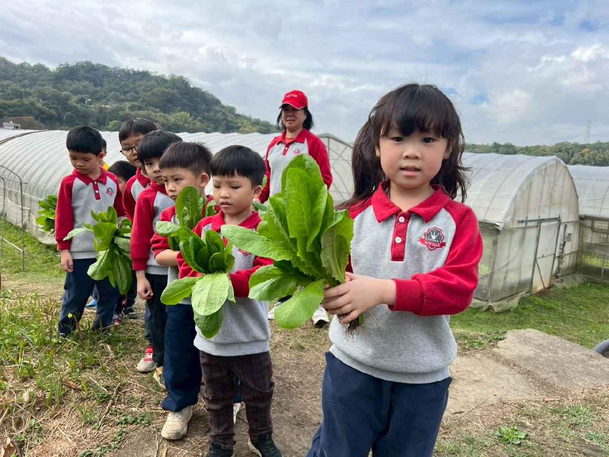 line_album_115.01.30餵雞拔菜_260130_8