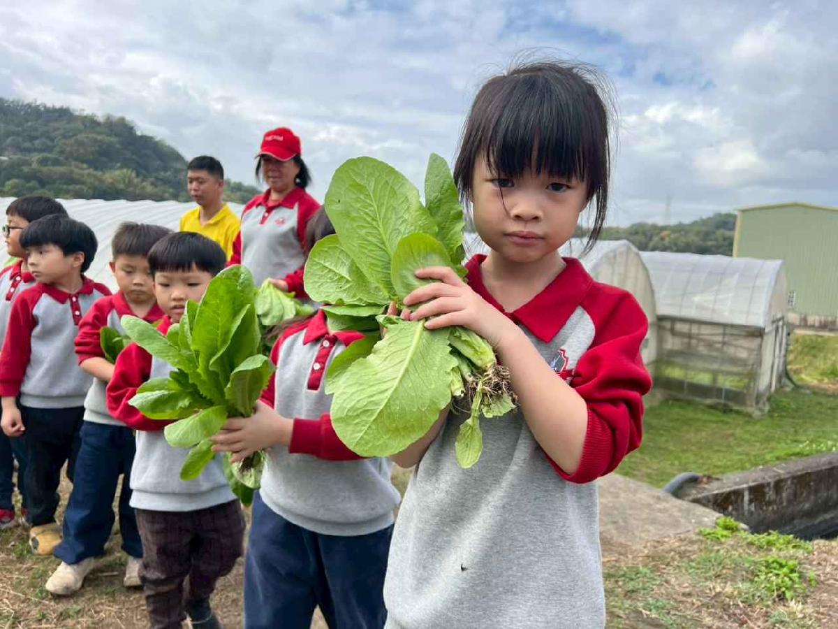 line_album_115.01.30餵雞拔菜_260130_9