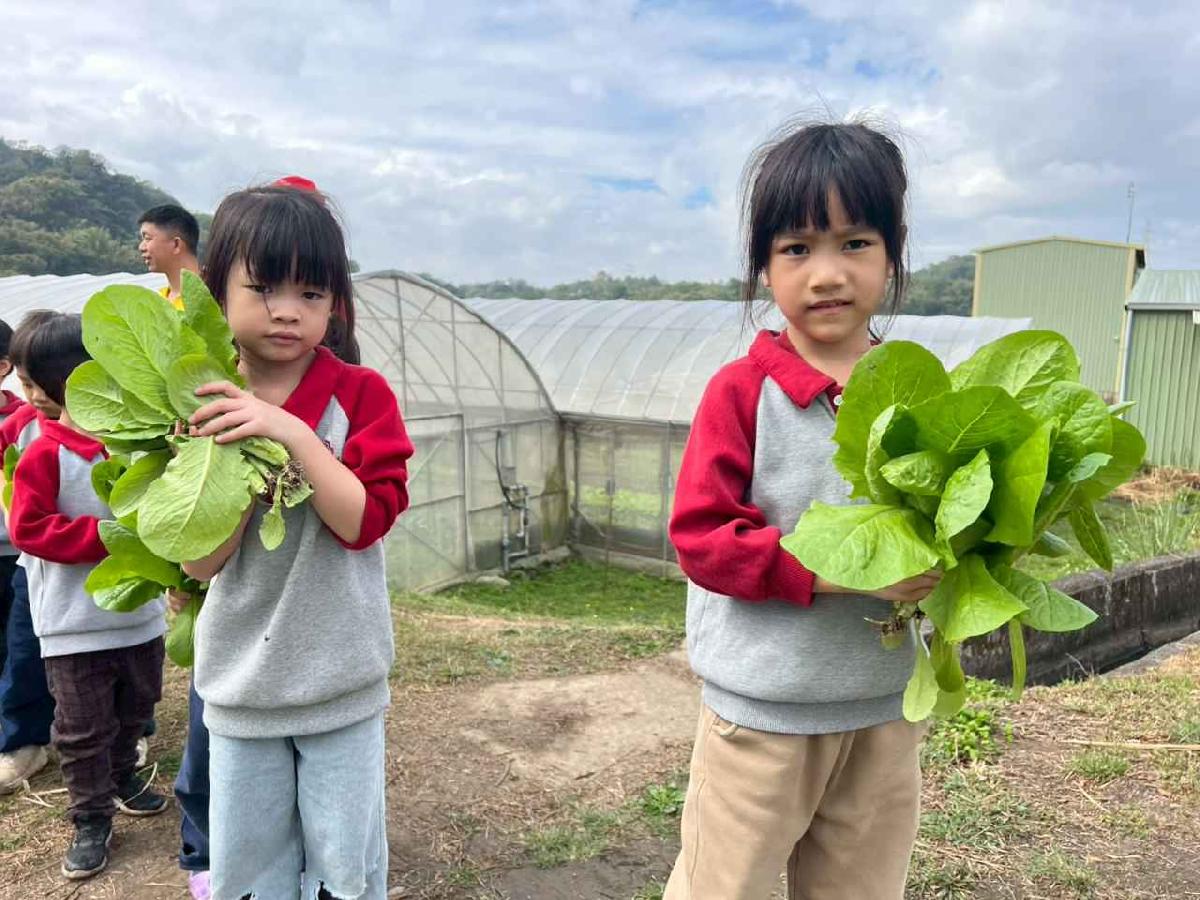 line_album_115.01.30餵雞拔菜_260130_10