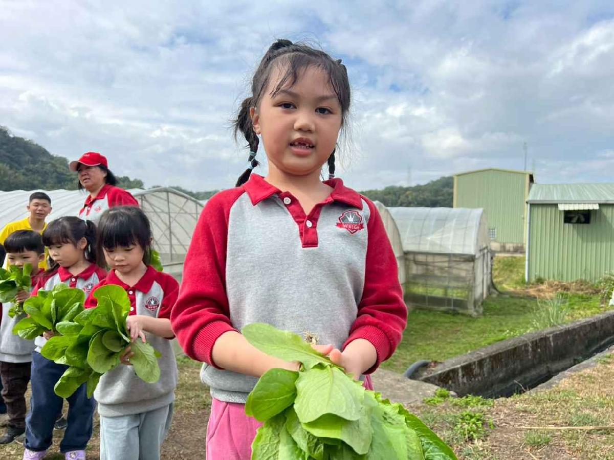 line_album_115.01.30餵雞拔菜_260130_11