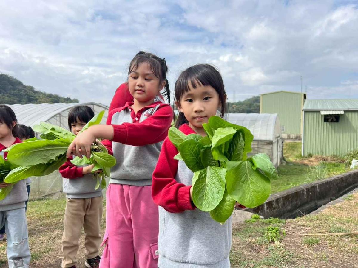 line_album_115.01.30餵雞拔菜_260130_12