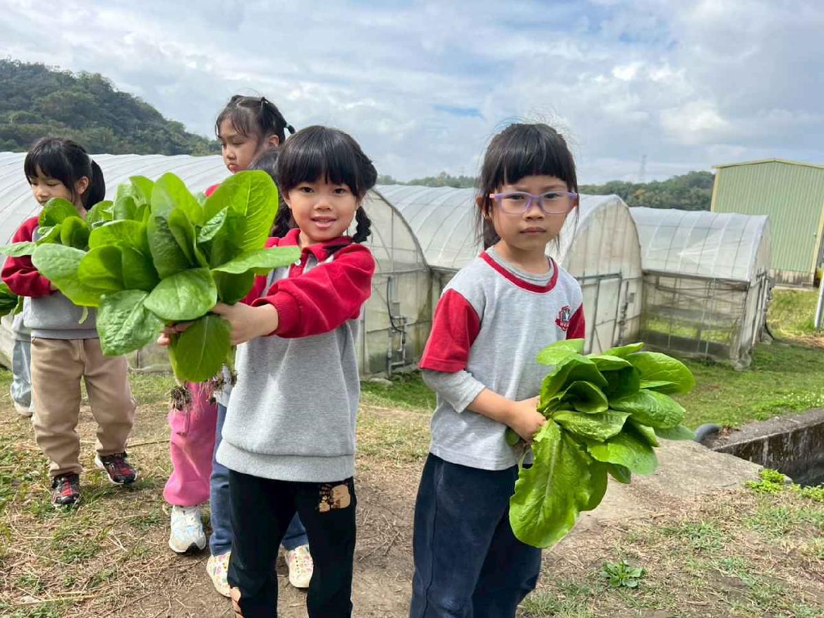 line_album_115.01.30餵雞拔菜_260130_13