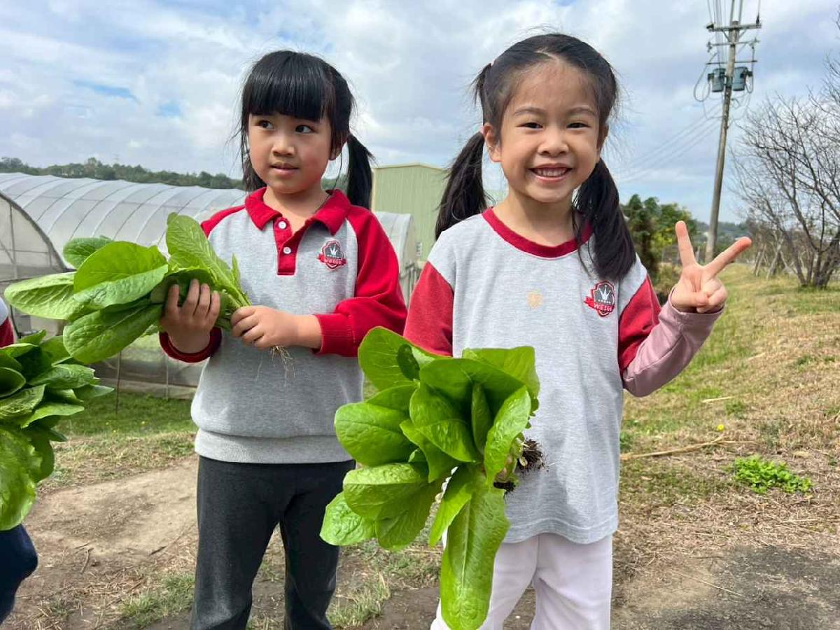 line_album_115.01.30餵雞拔菜_260130_14