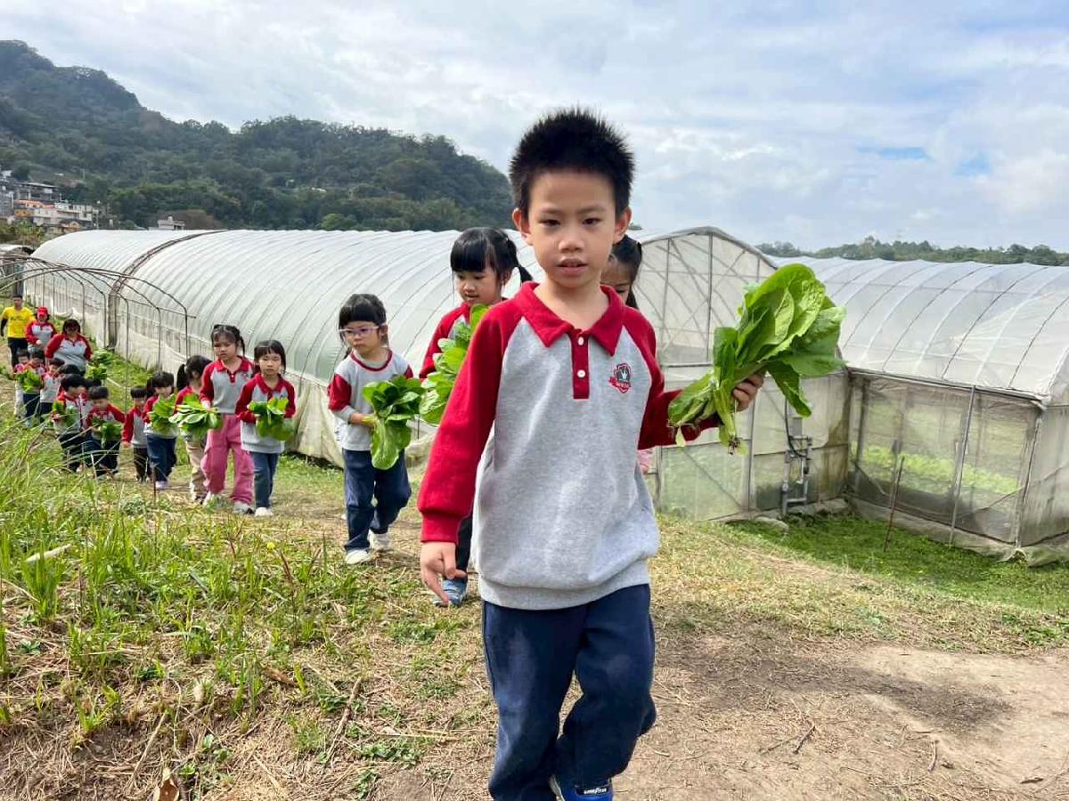 line_album_115.01.30餵雞拔菜_260130_15