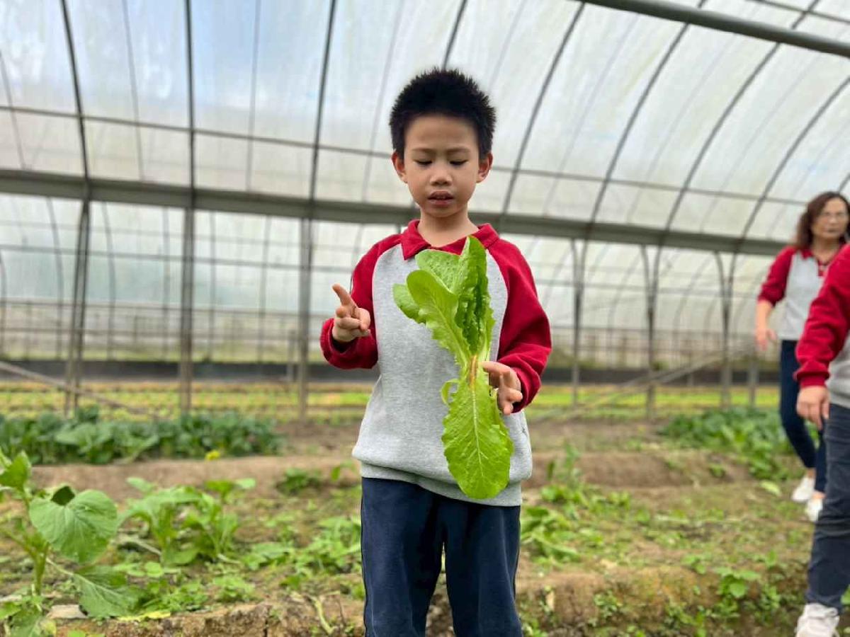 line_album_115.01.30餵雞拔菜_260130_16