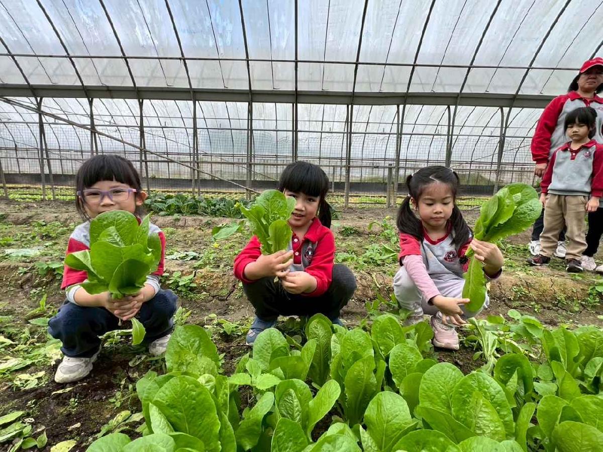 line_album_115.01.30餵雞拔菜_260130_21