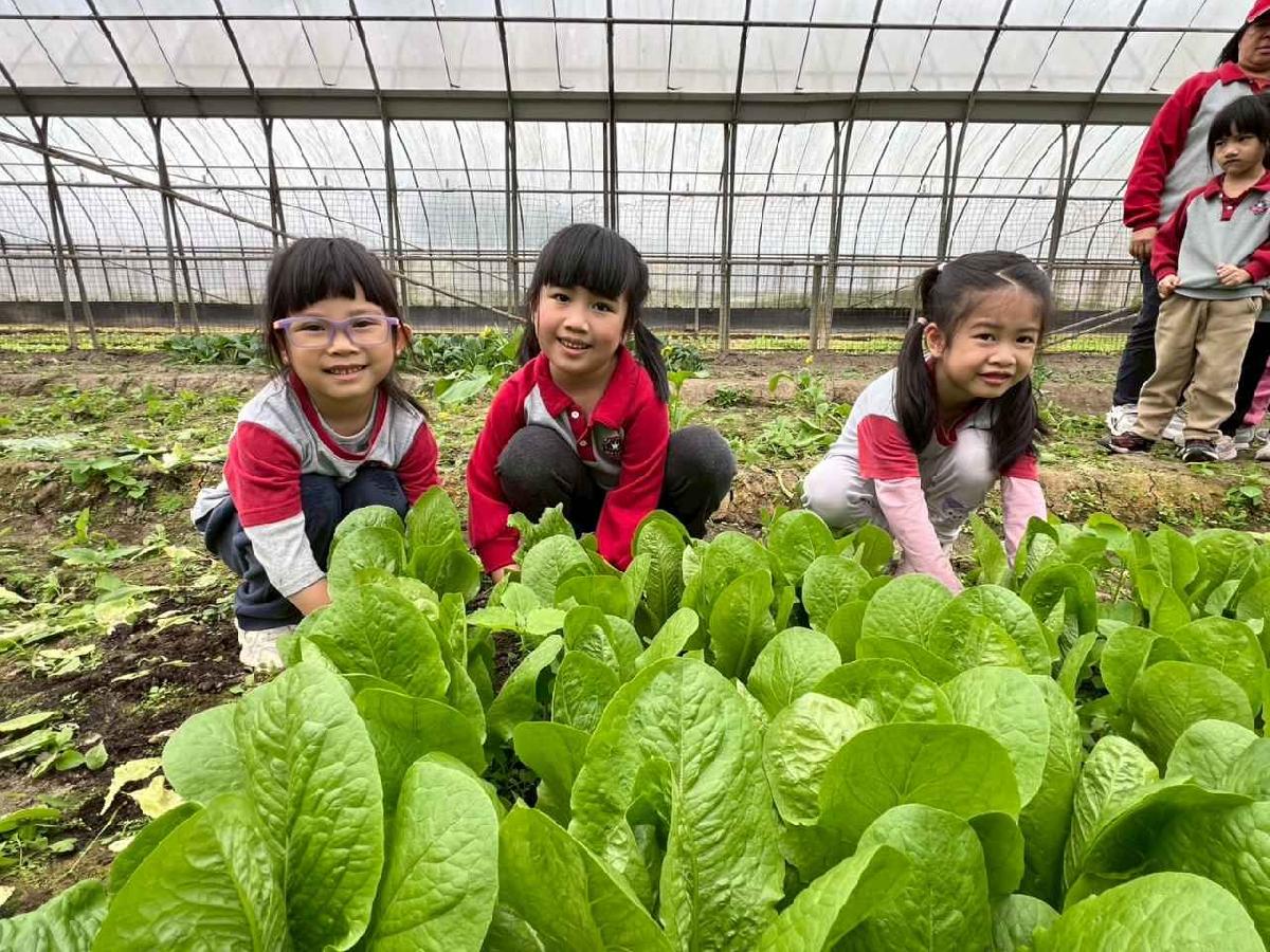 line_album_115.01.30餵雞拔菜_260130_23